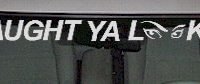  WSD327 Caught Ya Lookin With Eyes Windshield Decal