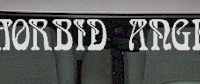  WSD350 Morbid Angel Windshield Decal