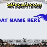  WSD400 Dolphin Your Name Here Boat Decal