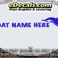 WSD400 Dolphin Your Name Here Boat Decal