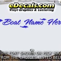  WSD435 Dolphins Your Name Here Boat Decal