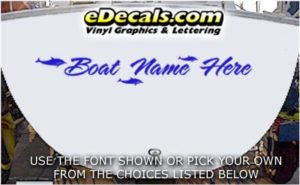 WSD435 Dolphins Your Name Here Boat Decal