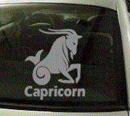  ZOD139 Capricorn Zodiac Decal w/Name