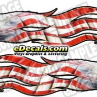  CNF154 Eagle Head Patriotic Decal
