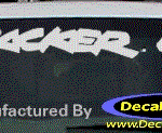 DC05032 Chevrolet Tracker LSI Decal