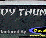 DC05113 Chevrolet Chevy Thunder Decal