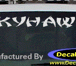 DC08191 Buick Skyhawk Decal
