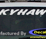 DC08193 Buick Skyhawk Decal